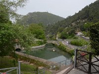 DSC 0414 (Copy)